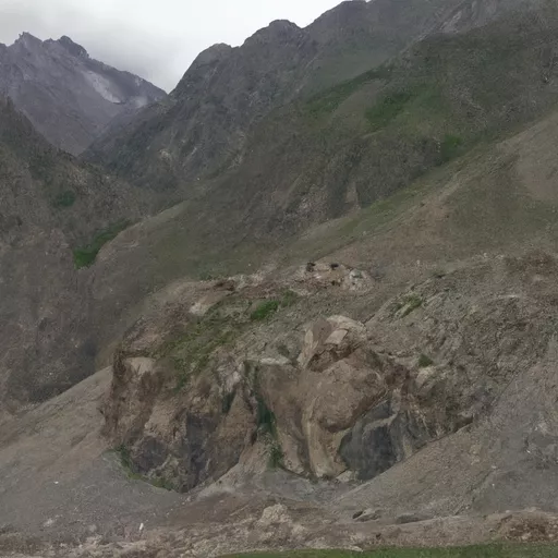 Daraz pakistan tracking