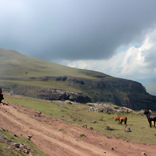 Georgian Post tracking