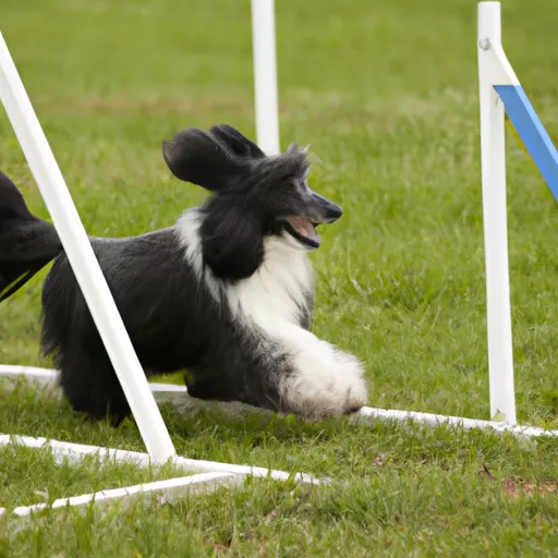 Agility tracking