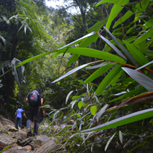 Damai yuncang tracking